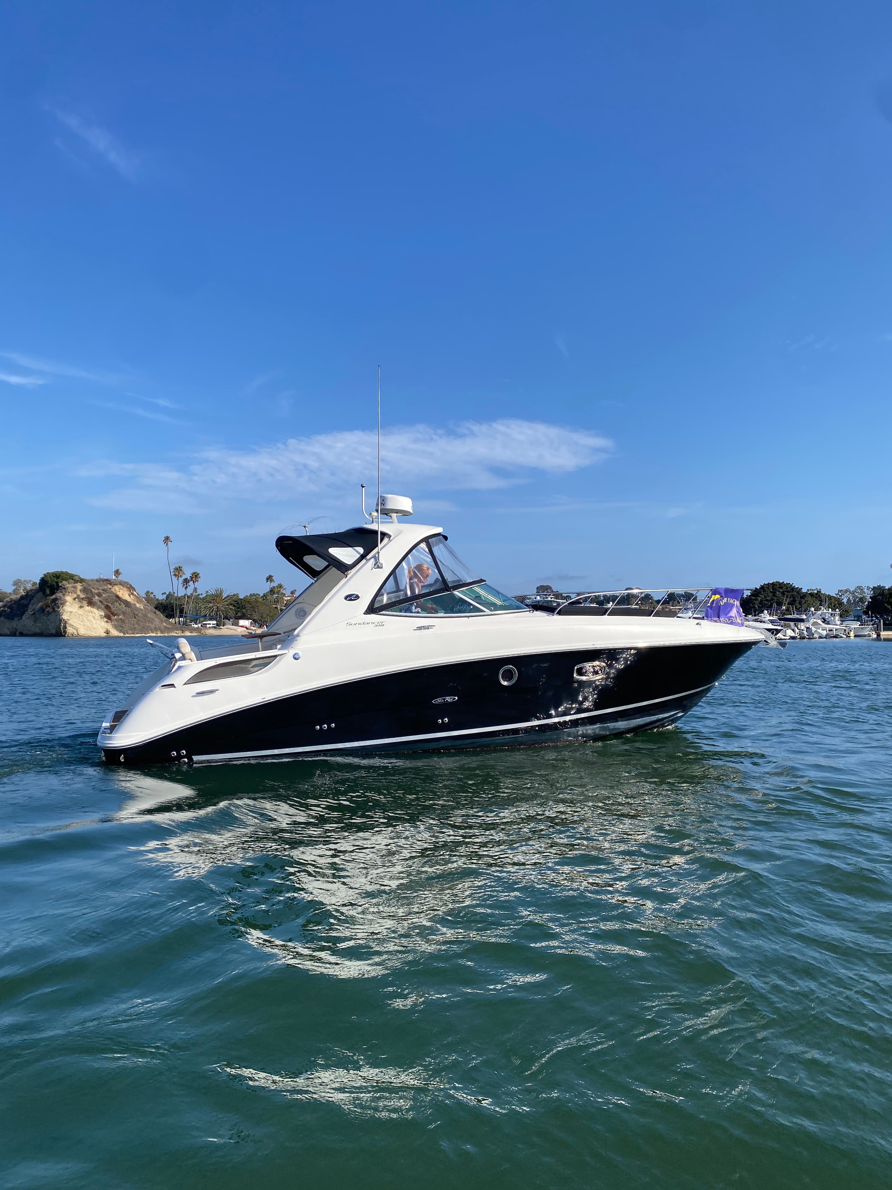 2013 Sea Ray Sundancer 310